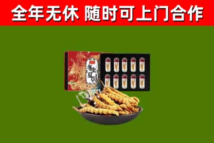 山阴县烟酒回收冬虫夏草礼盒.jpg